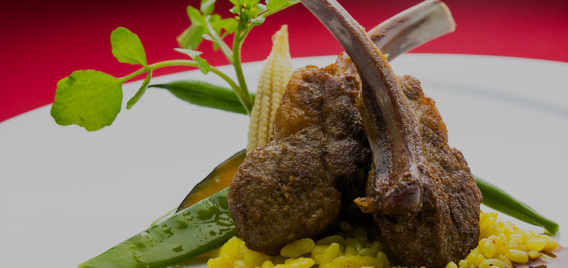 コース　メイン料理　肉